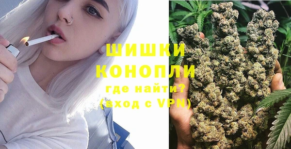 тгк Вяземский