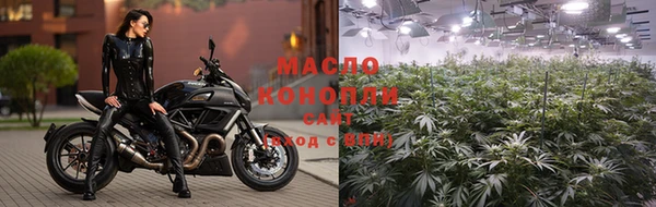 тгк Вяземский