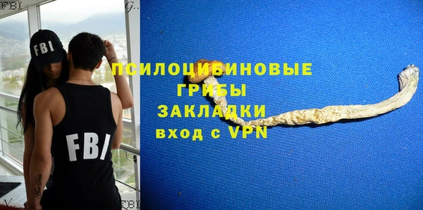 тгк Вяземский