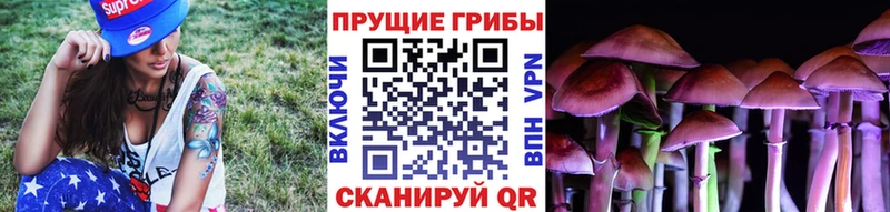 Галлюциногенные грибы Cubensis Купить закладки Бронницы